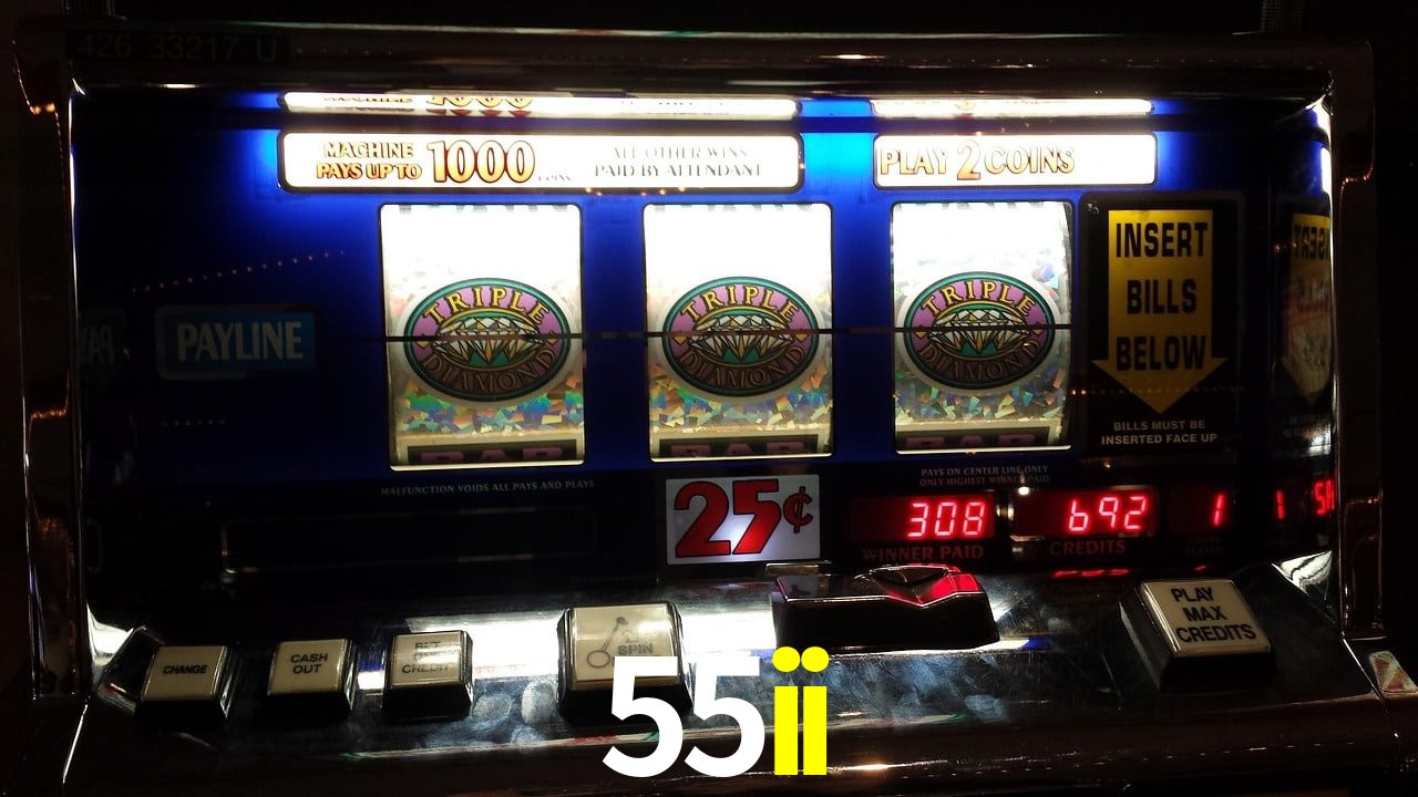 VIP Casino 55ii